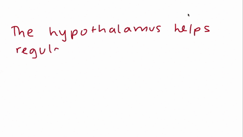 which-is-the-part-of-the-brain-that-helps-regulate-various-bodily-functions-including-eating-and-hunger-13018
