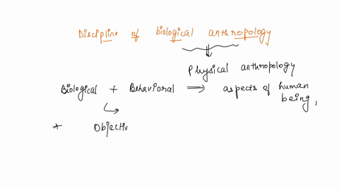 define-the-discipline-of-biological-anthropology-and-discuss-the-importance-of-the-scientific-method-in-validating-the-hypotheses-and-theories-biological-anthropologists-develop-provide-exam-99836