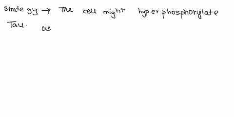 explain-how-hypotheses-can-be-used-to-test-observational-data-60204