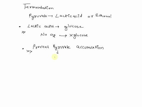in-fermentation-pyruvate-is-converted-to-lactic-acid-or-ethanol-these-are-not-useful-products-for-the-cell-what-is-the-point-of-this-it-converts-the-lactic-acid-or-ethanol-back-to-glucose-it-20983