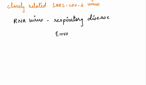 the-most-closely-related-virus-t0-the-sars-cov-2-is-the-chikungunva-virus-sars-cov-zika-virus-mers-cov-hini-vlrus-47148
