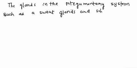 pits-that-produce-the-protein-that-forms-huir-the-third-laycr-layer-of-subcutancous-fat-this-layer-protects-and-cushions-blood-vessels-and-nerves-it-also-insulates-the-muscles-and-internal-o-02167