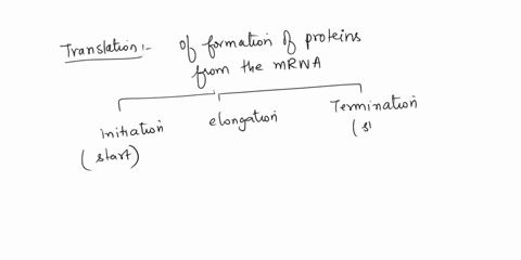 which-steps-begins-the-process-of-translation-92174