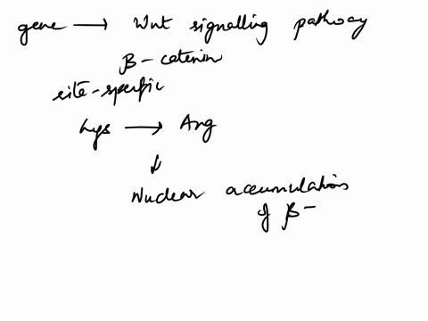 you-are-studying-a-gene-that-is-induced-by-the-wnt-signaling-pathway-to-determine-the-role-played-by-86441