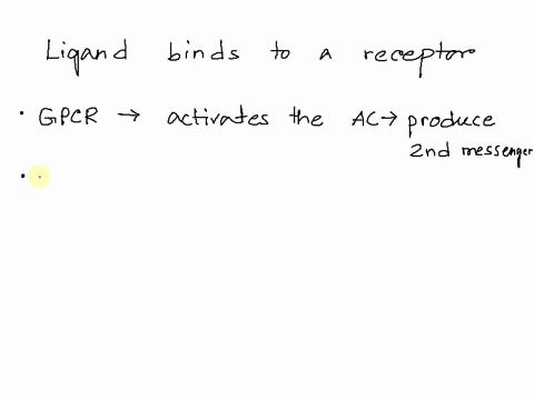 when-a-ligand-binds-with-a-receptor-a-g-proteins-are-inactivated-b-a-third-messenger-is-activated-c-59804