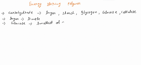 which-of-the-following-are-energy-storing-polymers-a-proteins-and-lipids-b-lipids-c-proteins-d-carbohydrates-carbohydrates-and-lipids-29835