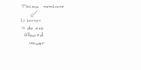 what-is-the-purpose-of-the-plasma-membrane-15238
