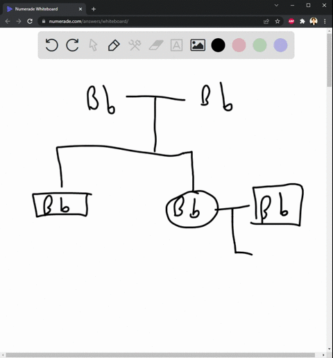 1the-associated-image-shows-two-individuals-probabilities-of-being-carriers-for-a-recessive-disorder-allele-shown-here-as-23-and-1120-respectively-given-these-numbers-what-is-the-likelihood-07114