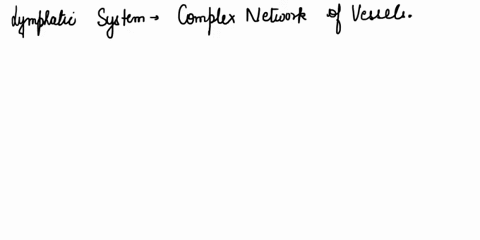 drag-each-statement-to-the-appropriate-position-to-identify-the-valve-being-described-chapter-19-worksheet-savec-drag-each-statement-to-the-appropriate-position-to-dentify-the-valve-being-de-63896