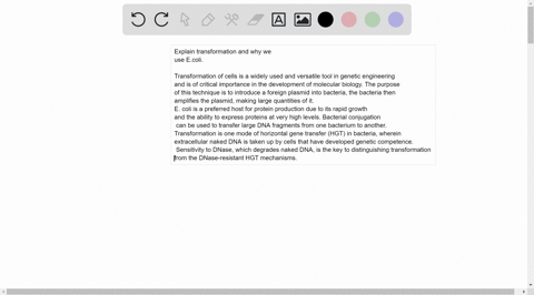 write-answers-which-is-in-bold-format-in-your-own-sentences-explain-transformation-and-why-we-use-ecoli-transformation-is-inserting-a-foreign-plasmid-or-ligation-product-into-bacteria-e-coli-58635