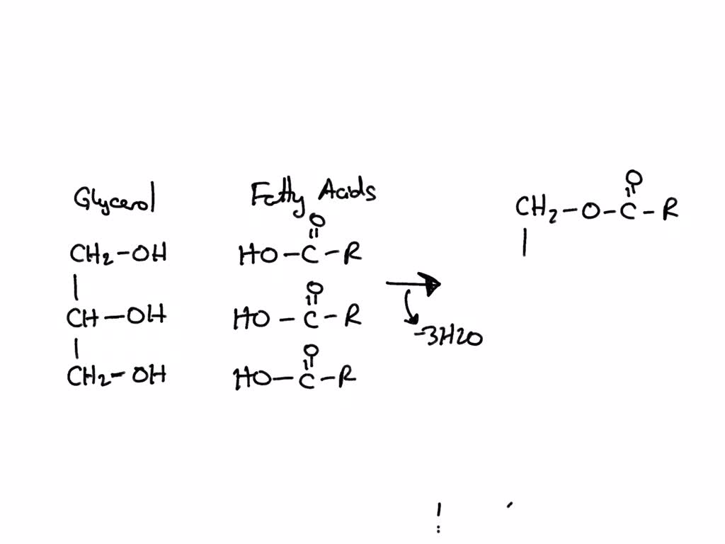 SOLVED Which type of chemical linkage is used to join fatty acids to