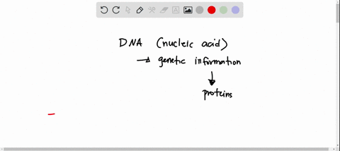 which-statements-describe-functions-of-dna-check-all-that-apply-adna-gives-instructions-on-how-to-make-keratin-the-protein-that-makes-up-human-hair-and-skin-bdna-contains-information-about-e-69022