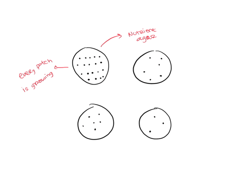 in-the-diagrams-of-replica-plates-below-filled-in-circles-represent-colonies-empty-circles-represent-cells-that-did-not-grow-on-the-plate-a-one-of-the-plates-contains-nutrient-agar-and-three-of-the-pl