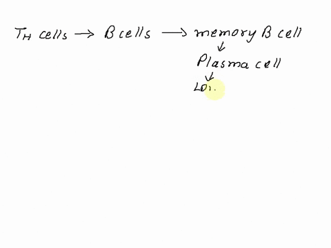 true-or-false-the-activation-of-a-b-cell-by-a-t-helper-cell-results-in-the-production-of-plasma-cells-that-can-produce-a-few-thousand-antibodies-per-second-91145