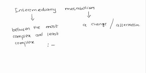 complex-patterns-what-is-meant-by-intermediary-metabolism-2-62704