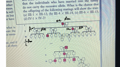 what-the-answer-72