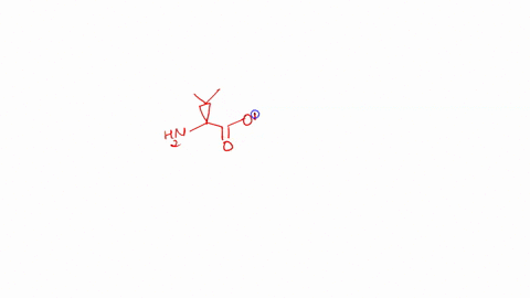 qunstton-5-points-lselect-te-functional-groups-you-find-from-the-molecule-shown-beloe-ohi-hzn-acetall-ihemiacetal-mhamina-mkga-enlcmhial-hnhhhek-khpurhe-umihak-12485