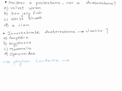 question-55-which-of-the-following-is-neither-a-protostome-nor-a-deuterostome-1-group-of-answer-choices-2-a-velvet-worm-3-a-box-jelly-fish-4-a-great-white-shark-5-a-clam-question-66-you-find-31266