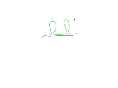 question-shown-below-drawing-showing-the-result-experiment-in-which-an-rna-molecule-is-allowed-to-mix-with-genomic-dna-that-has-been-denatured-by-bolling-and-the-two-molecules-are-allowed-to-93096