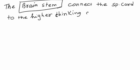 precalculus-lessons-s-watch-hannah-mo-netfirx-watch-tv-q-search-fit-width-help-feedback-replace-text-comments-more14-t-text-word-bank-brain-stem-cerebrum-cerebellum-diencephalon-medulla-oblo-72822