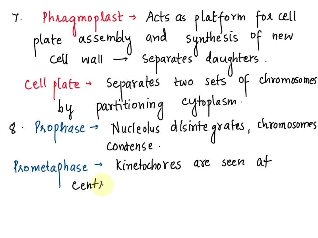 SOLVED What is the need for phragmoplast and cell plate during