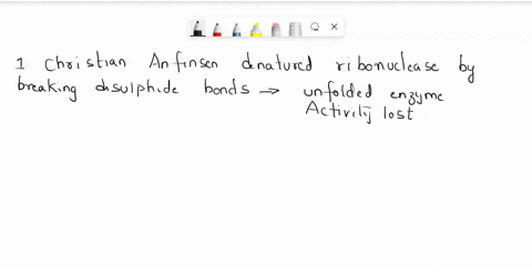 13-christian-anfinsen-denatured-ribonuclease-a-single-polypeptide-chain-using-substance-that-reduces-breaks-disulfide-bonds-causing-the-ribonuclease-to-unfold-and-lose-its-activity-which-of-23788