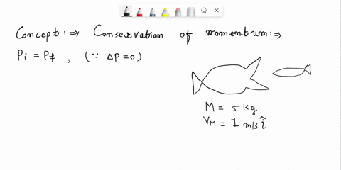 use-momentum-conservation-to-solve-the-problem-a-5-kg-fish-swimming-at-ms-swallows-a-1-kg-fish-swimming-toward-it-at-a-speed-that-brings-both-fish-to-a-halt-immediately-after-lunch-find-the-29814