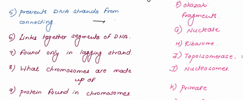 match-the-substance-to-its-function-prevents-supercoilingoverwinding-of-the-dna-unwinds-and-separates-the-double-stranded-dna-adds-a-short-piece-of-complementary-rna-nucleotides-copies-dna-a-97951