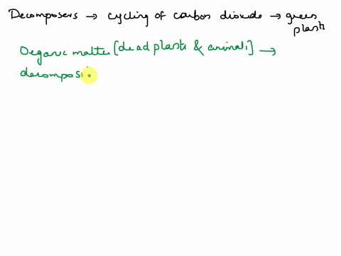 outline-how-decomposers-assist-in-the-cycling-of-carbon-dioxide-to-make-it-available-to-green-plants-70273