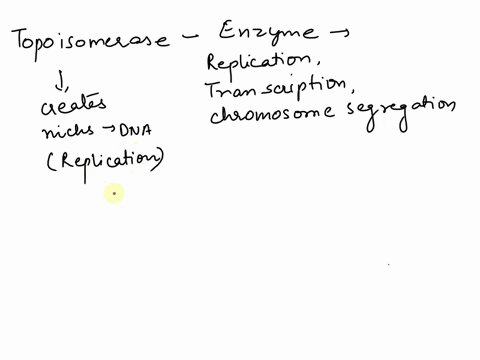 enzymes-that-can-alter-dna-supercoiling-are-called-topoisomerases-identify-the-following-as-characteristics-of-type-topoisomerases-or-type-il-topoisomerases-and-sort-accordingly-items-6-item-85697