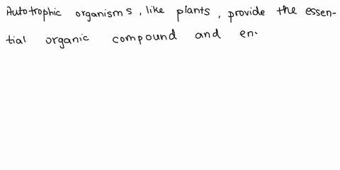 food-for-inoxz-acfi-tc-numerous-hypotheses-have-bern-proposed-for-the-extinction-of-the-dinosaurs-recently-evidence-hus-been-found-of-the-impact-of-lange-metcor-at-about-the-time-of-this-mas-84073