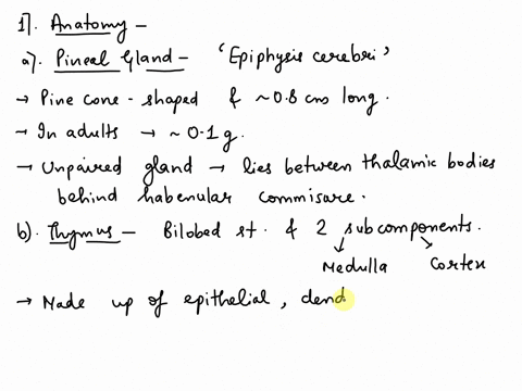 describe-the-anatomy-location-and-endocrine-functions-of-thepineal-gland-and-thymus-66687