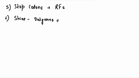how-are-the-stop-codons-recognized-at-the-end-of-translation-process-please-describe-the-roles-of-release-factors-rfs-in-termination-please-also-describe-how-the-ribosome-recycling-factor-rr-93294