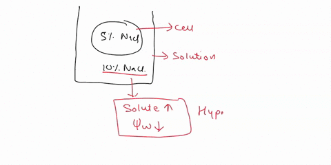 whrch-way-will-waten-mo-i-those-tree-caces-into-te-cell-or-out-5npe-lk-ncg-iok-nci-102-na-96375