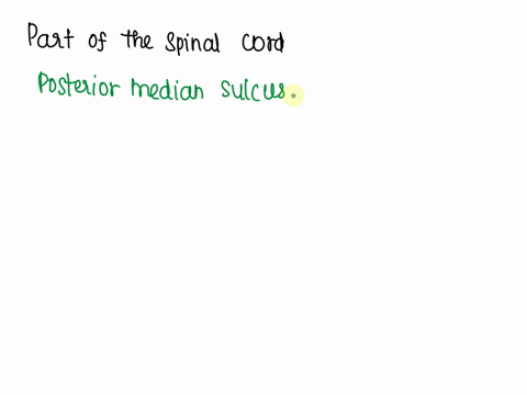 gnment1-the-label-list-structures-of-the-central-nervous-system-drag-each-label-into-the-approprlate-categoryindicating-whether-it-is-part-of-the-spinal-or-not-wedulla-oblongata-sensory-trac-98098