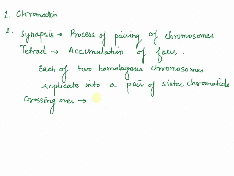 1-while-in-the-interphase-stage-what-is-the-loose-linear-form-of-dna-called-2-define-the-following-synapsis-tetrads-crossing-over-3-why-are-cells-created-by-meiosis-genetically-unique-4-in-w-26494