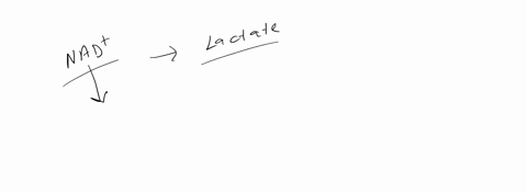 24-reduce-reuse-recycle-in-the-conversion-of-glucose-into-two-molecules-of-lactate-the-nadh-generated-earlier-in-the-pathway-is-oxidized-to-nad-why-is-it-not-to-the-cells-advantage-to-simply-91137