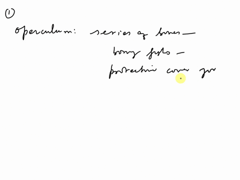 1describe-and-give-the-function-of-the-following-adaptations-found-in-a-bony-fish-swim-bladder-operculum-homocercal-tail-2-what-is-the-evolutionary-significance-of-the-sarcopterygians-the-lo-36962