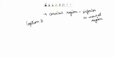 which-of-the-following-statements-is-true-a-the-calcaneal-region-is-distal-to-the-hallux-region-b-the-gluteal-region-is-distal-to-the-lumbar-region-c-the-popliteal-region-is-distal-to-the-pa-18807