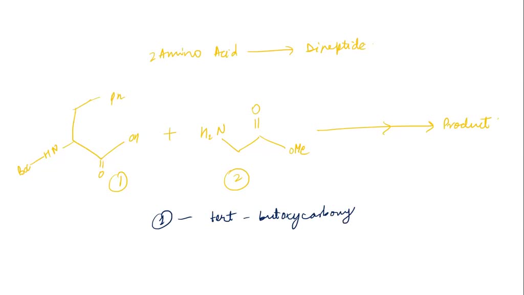 SOLVED Me Give some advantages and disadvantages of using enzymes as