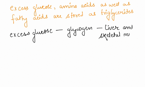 excess-glucose-and-amino-acids-as-well-as-fatty-acids-can-be-stored-as-triglycerides-true-or-false-74431