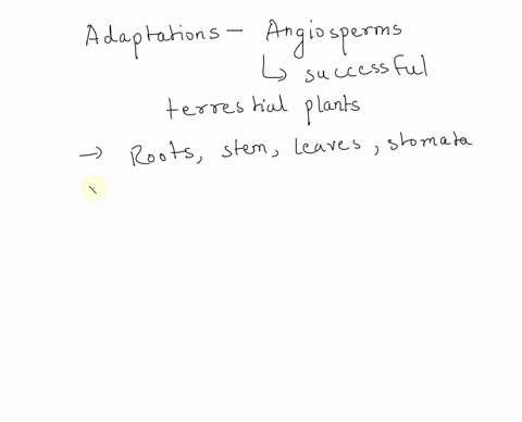 what-adaptations-in-plants-are-associated-with-the-angiosperms-73381