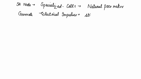 where-is-the-sinoatrial-node-located-a-between-the-left-atrium-and-the-left-ventricleb-between-the-right-atrium-and-the-right-ventriclec-in-the-interventricular-septumd-in-the-upper-wall-of-50088