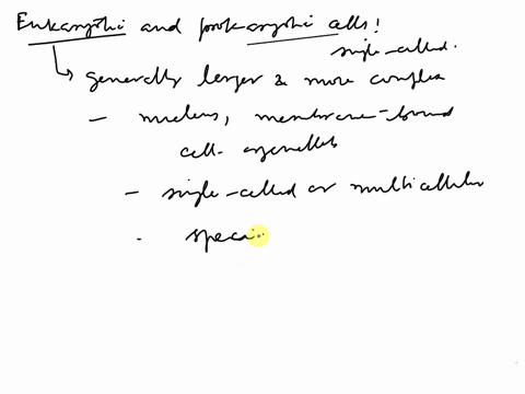 1-the-protozoa-algae-and-s-cerevisiae-are-eukaryotes-e-coli-is-a-prokaryote-based-on-your-observations-what-generalizations-can-you-make-about-eukaryotic-and-prokaryotic-cells2-the-bacteria-59865