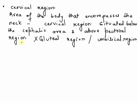 the-cervical-region-is-3-points-oinferior-to-the-umbilical-region-osuperior-to-the-pectoral-region-o-inferior-to-the-gluteal-region-o-superior-to-the-cephalic-region-what-is-the-position-of-62355