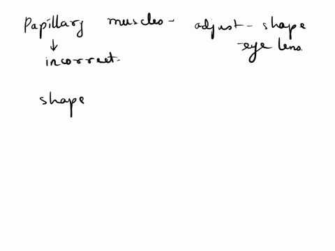 the-papillary-muscles-can-adjust-the-shape-of-the-lens-this-gives-the-eye-the-ability-to-focus-on-near-or-far-objects-discern-the-intensity-of-light-reflect-light-away-change-the-shape-of-th-46967