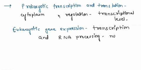 question-2-prokaryotes-and-eukaryotes-regulate-genes-in-specific-ways-which-of-the-following-statements-about-gene-regulation-as-true-for-both-prokaryotes-and-eukaryotes-chromatin-structure-55693