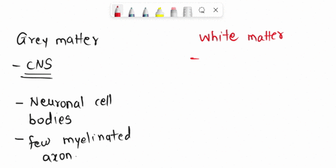question-24-grey-matter-is-composcd-of-whilst-white-mattcr-is-composed-of-sensory-ncuron-motor-ncurons-cell-bodies-myclinated-axons-intemeurons-synapscs-myelinated-axons-ccll-biodics-26599