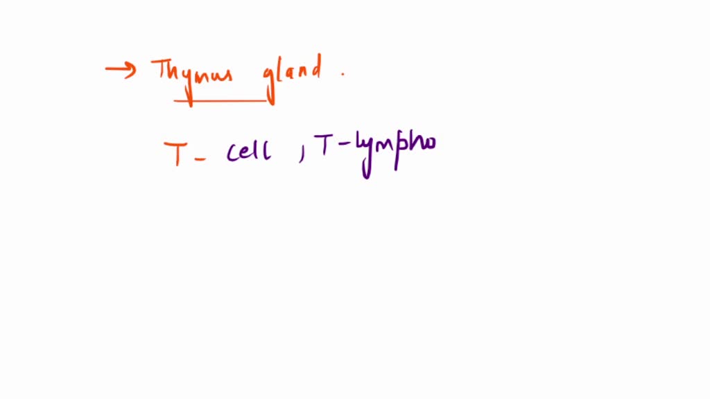 SOLVED how important is the thymus gland in keeping your body free