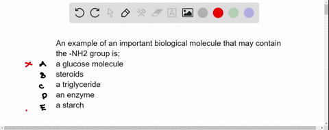 an-example-of-an-important-biological-molecule-that-may-contain-the-nh2-group-is-1a-glucose-molecule-2steroids-3a-triglyceride-4an-enzyme-5a-starch-19643